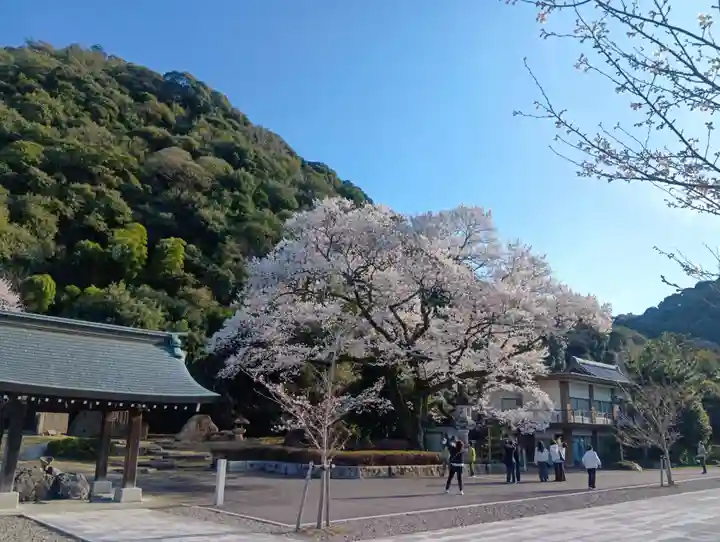 岐阜護國神社(岐阜県)