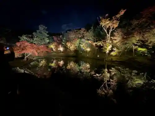 高台寺（高台寿聖禅寺・高臺寺）(京都府)