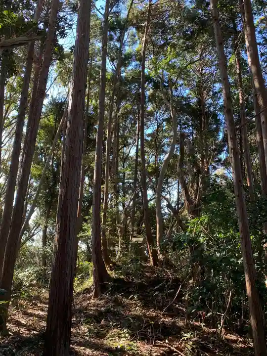 浅間神社の周辺