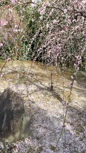 城南宮(京都府)