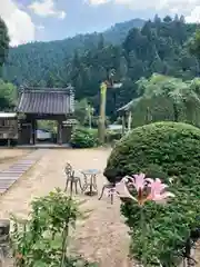 真楽寺の建物その他