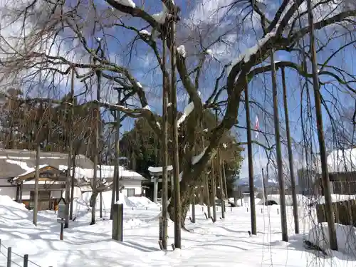 足羽神社(福井県)
