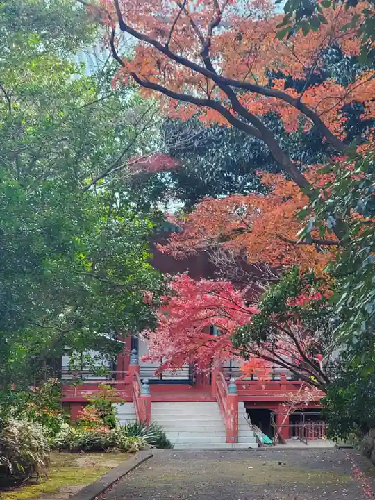 大光院 新田寺の自然