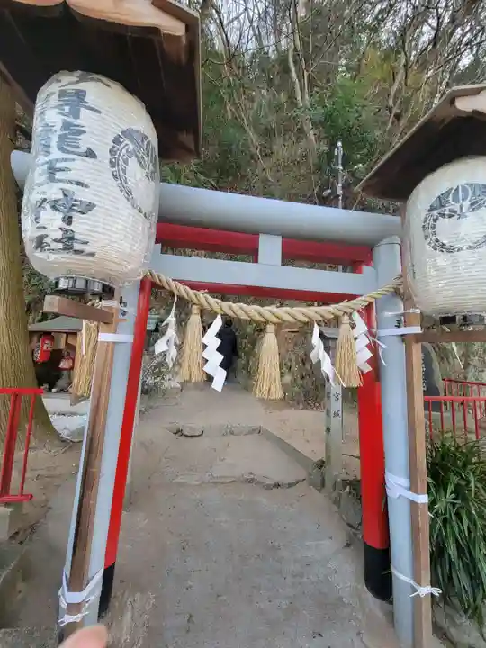 藤ヶ崎龍神社(滋賀県)