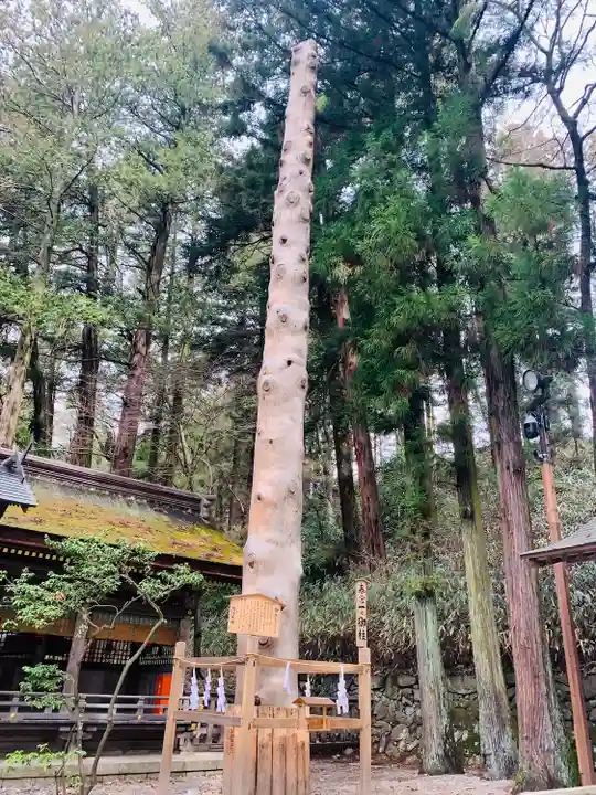 諏訪大社下社春宮の自然