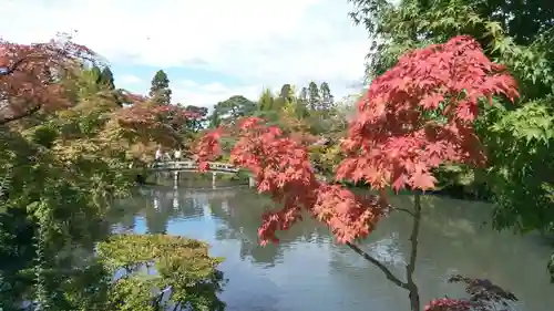 禅林寺（永観堂）の景色