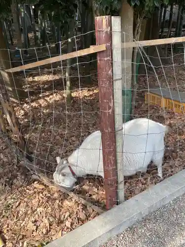 出雲大社相模分祠(神奈川県)