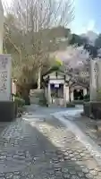 長門国分寺の{uncategorized: "未分類", other: "その他", undefined: "問題あり", building: "その他建物", grave: "お墓", sacred_gate: "鳥居", guardian: "狛犬", statue: "像", buddha: "仏像", history: "歴史", nature: "自然", garden: "庭園", animal: "動物", pagoda: "塔", temizu: "手水舎", mountain_gate: "山門・神門", sanctuary: "本殿・本堂", subordinate: "末社・摂社", art: "芸術", scenery: "景色", jizo: "地蔵", ema: "絵馬", goshuin: "御朱印", omikuji: "おみくじ", items: "授与品その他", amulet: "お守り", goshuincho: "御朱印帳", eats: "食事", festival: "お祭り", votive_dance: "神楽", shichigosan: "七五三参", wedding: "結婚式", experience: "体験その他", initially: "初詣", around: "周辺", anti_infection: "感染症対策"}