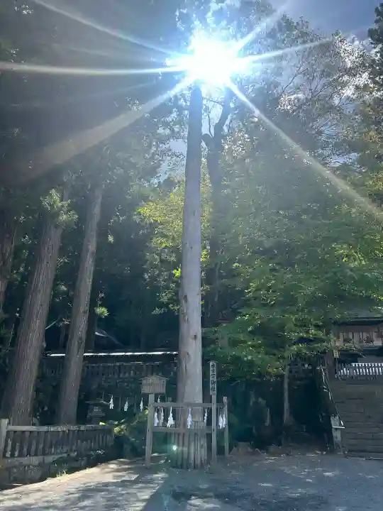 諏訪大社上社前宮(長野県)