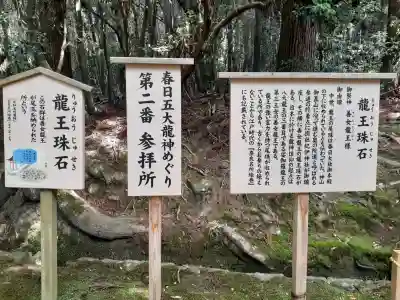 龍王珠石の{uncategorized: "未分類", other: "その他", undefined: "問題あり", building: "その他建物", grave: "お墓", sacred_gate: "鳥居", guardian: "狛犬", statue: "像", buddha: "仏像", history: "歴史", nature: "自然", garden: "庭園", animal: "動物", pagoda: "塔", temizu: "手水舎", mountain_gate: "山門・神門", sanctuary: "本殿・本堂", subordinate: "末社・摂社", art: "芸術", scenery: "景色", jizo: "地蔵", ema: "絵馬", goshuin: "御朱印", omikuji: "おみくじ", items: "授与品その他", amulet: "お守り", goshuincho: "御朱印帳", eats: "食事", festival: "お祭り", votive_dance: "神楽", shichigosan: "七五三参", wedding: "結婚式", experience: "体験その他", initially: "初詣", around: "周辺", anti_infection: "感染症対策"}