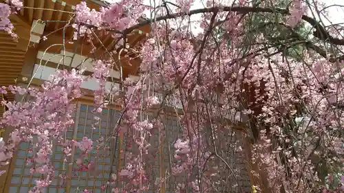 市原稲荷神社の自然