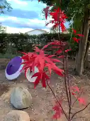 彌都加伎神社の庭園