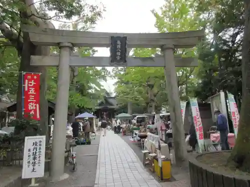 亀岡八幡宮（亀岡八幡神社）の鳥居