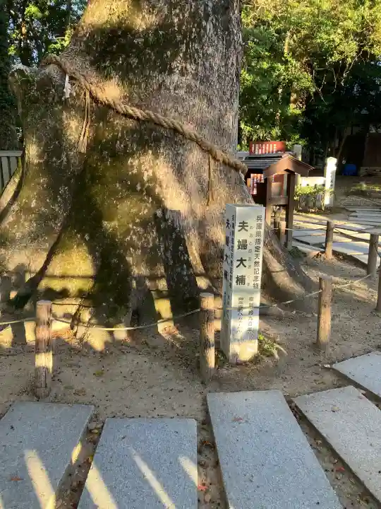 伊弉諾神宮(兵庫県)