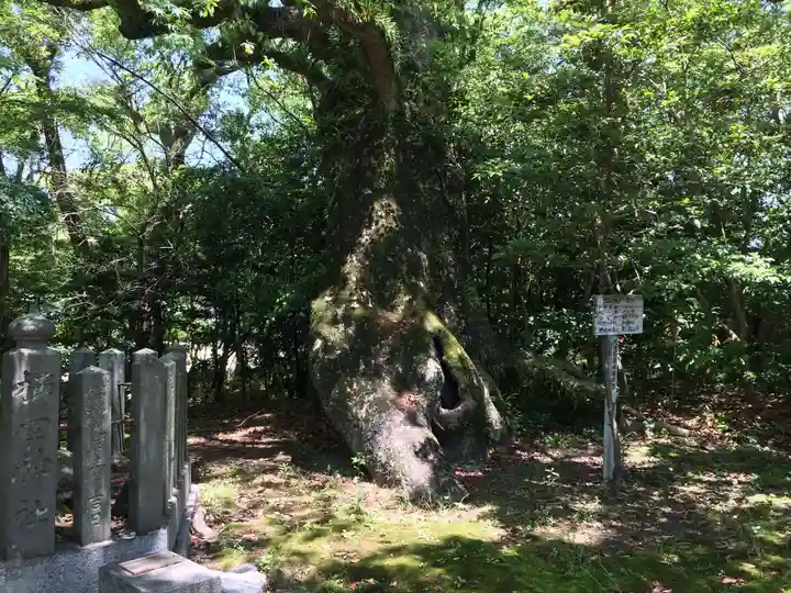 櫛田宮(佐賀県)