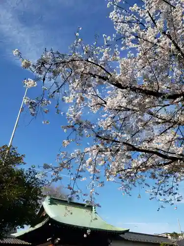 本郷氷川神社(東京都)