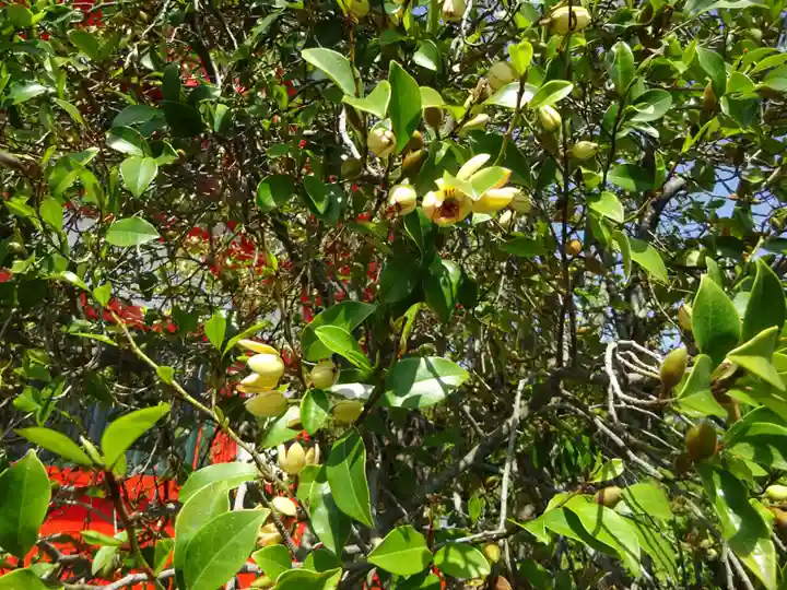 足利織姫神社の自然
