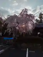 栽松院(宮城県)