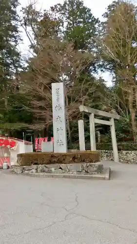 椿大神社の鳥居