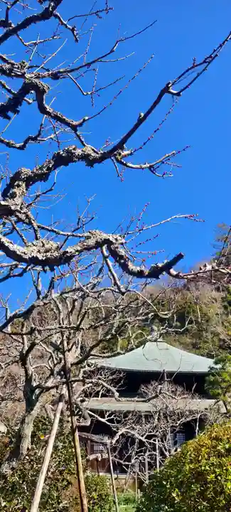 瑞泉寺(神奈川県)