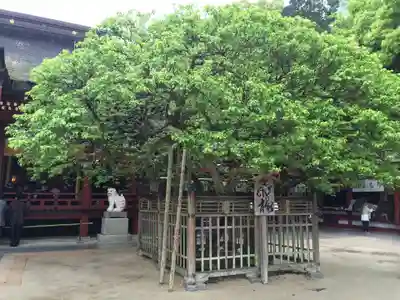 太宰府天満宮(福岡県)