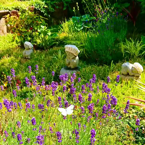 寿量山　速成寺の自然