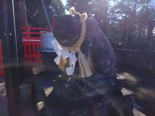 諏訪神社の狛犬