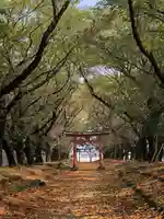 東蕗田天満社の鳥居