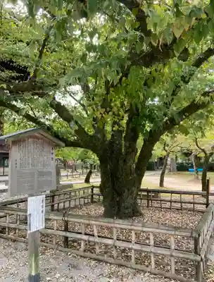 真正極楽寺(真如堂)(京都府)