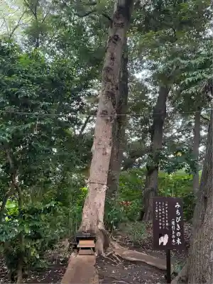 鶴嶺八幡宮(神奈川県)