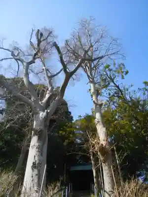 八雲神社（鎌倉・常盤）の景色