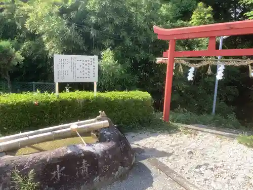 曽野稲荷神社の鳥居