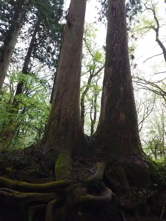 戸隠神社奥社(長野県)