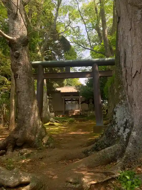 熊野神社(千葉県)