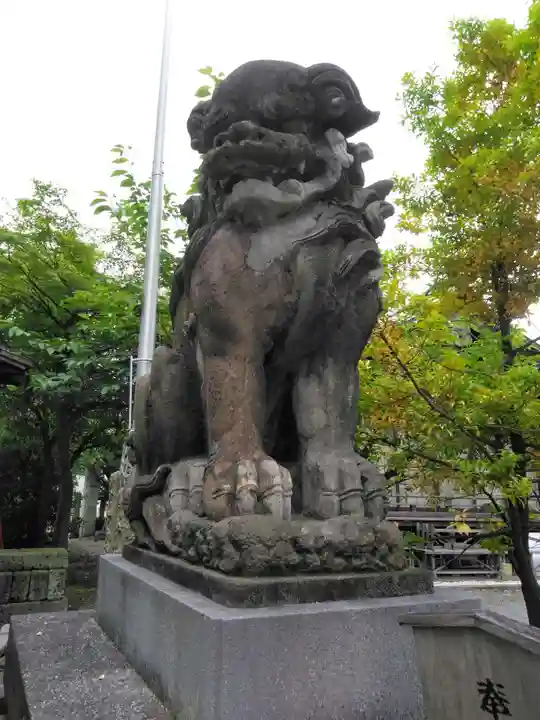東神奈川熊野神社の狛犬
