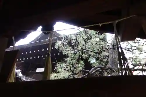 射楯兵主神社のその他建物