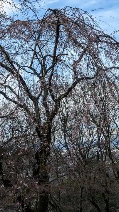 松ヶ崎大黒天 妙圓寺(妙円寺)(京都府)
