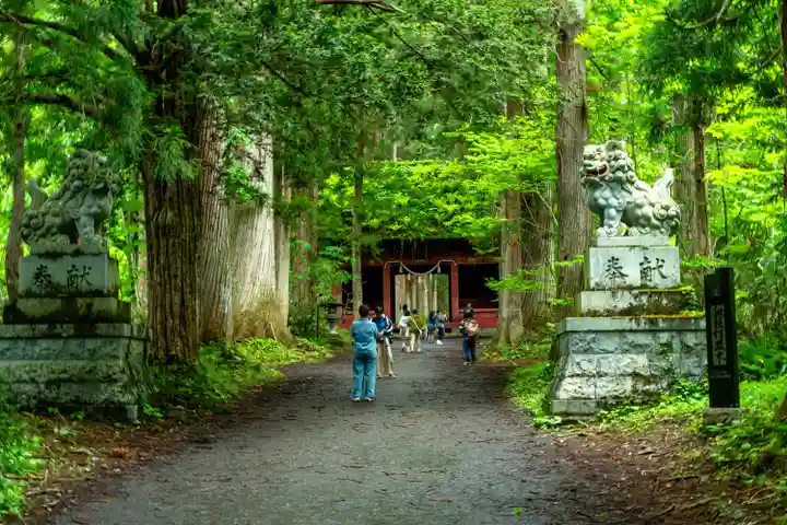 戸隠神社奥社(長野県)