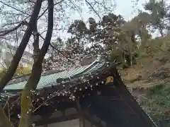 心行寺(神奈川県)