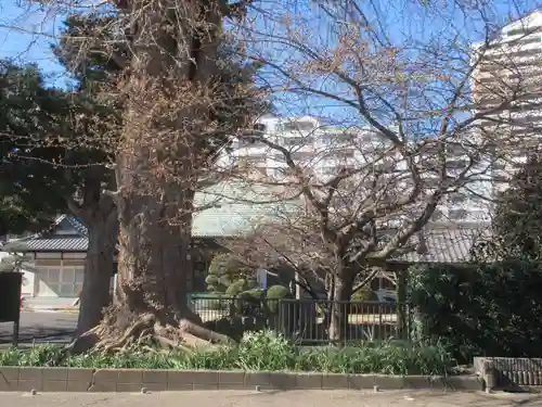 十劫寺(神奈川県)