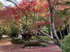 胡宮神社（敏満寺史跡）の手水