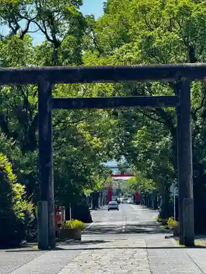 鹿児島神宮(鹿児島県)