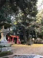 春日大社の建物その他