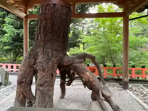 伏見神宝神社(京都府)