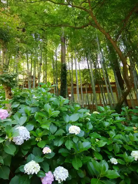 円覚寺(神奈川県)