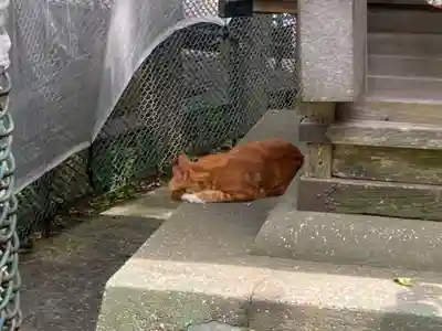 海南神社(神奈川県)