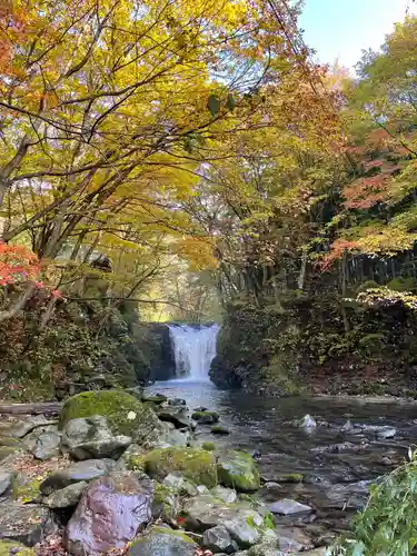 止滝神社の自然