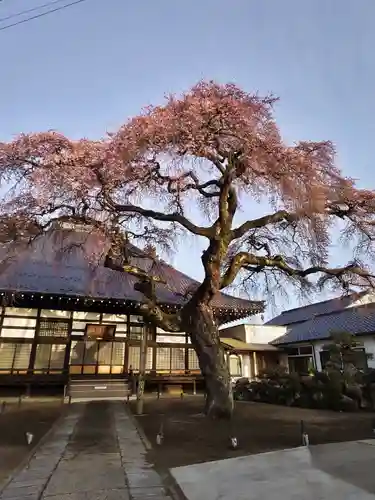 相応寺(福島県)