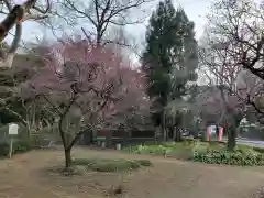 伊勢神社(栃木県)