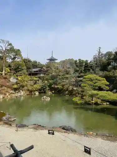 仁和寺の{uncategorized: "未分類", other: "その他", undefined: "問題あり", building: "その他建物", grave: "お墓", sacred_gate: "鳥居", guardian: "狛犬", statue: "像", buddha: "仏像", history: "歴史", nature: "自然", garden: "庭園", animal: "動物", pagoda: "塔", temizu: "手水舎", mountain_gate: "山門・神門", sanctuary: "本殿・本堂", subordinate: "末社・摂社", art: "芸術", scenery: "景色", jizo: "地蔵", ema: "絵馬", goshuin: "御朱印", omikuji: "おみくじ", items: "授与品その他", amulet: "お守り", goshuincho: "御朱印帳", eats: "食事", festival: "お祭り", votive_dance: "神楽", shichigosan: "七五三参", wedding: "結婚式", experience: "体験その他", initially: "初詣", around: "周辺", anti_infection: "感染症対策"}